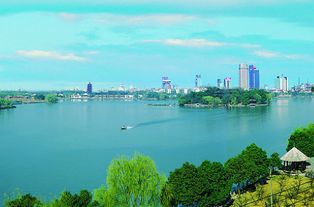 以智能交通為突破口，嘉興將駛上智慧城市建設快車道